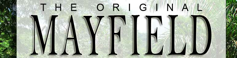 The Original Mayfield Falls